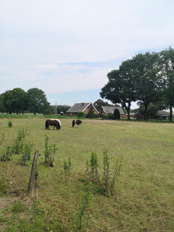 GoorVakantieboerderij Missetアパートメント エクステリア 写真