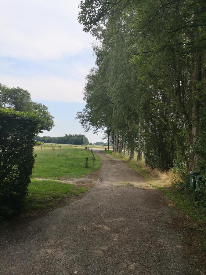 GoorVakantieboerderij Missetアパートメント エクステリア 写真