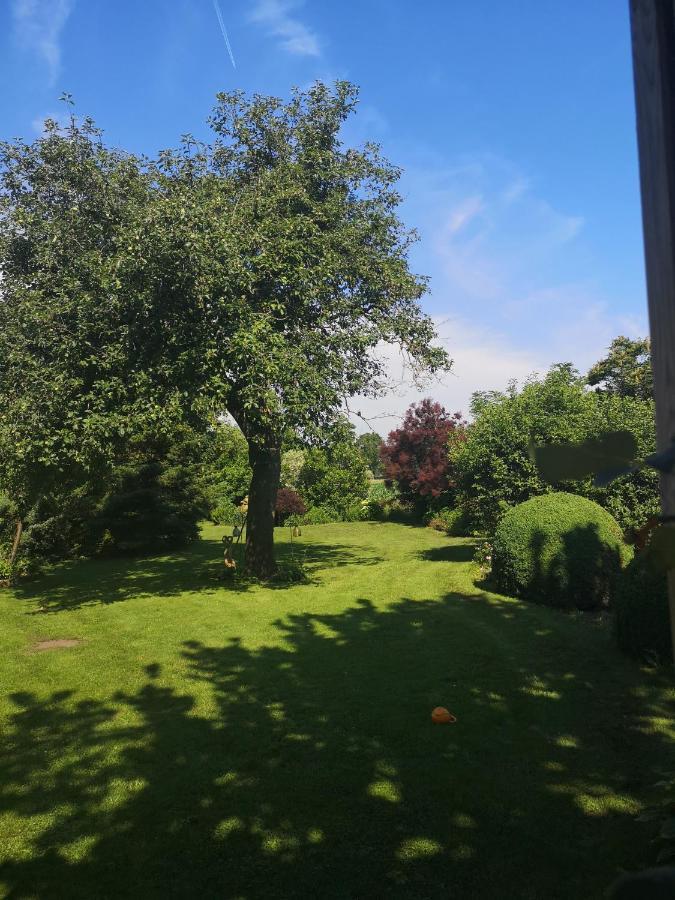 GoorVakantieboerderij Missetアパートメント エクステリア 写真